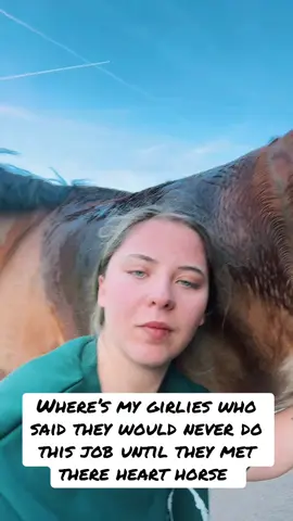 #willywash #sheathcleaning #horse 