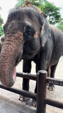 ❤️‍🩹❤️‍🩹❤️‍🩹