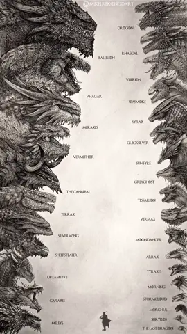 Now yes! The final scale and compilation of all the main dragons from Game of Thrones, House of the Dragon, and ASOIAF. Comment your favorite one below! This version is more complete and accurate than the previous one. It’s been so much fun working on these 🔥 I know there are still other cool dragons and creatures in this universe, like the Ice Dragon or the Nagga, but my focus was on the main dragons. Maybe in the future, I’ll expand it even more… but for now I think this is enough hahaha I hope you like it! 🙌🏼 #gameofthrones #houseofthedragon #got #hotd  #DragonDrawing #FantasyArt #pencildrawing #sketch #asoiaf #asingoficeandfire #dragons #hotddragons #gotdragons #creaturedesign 