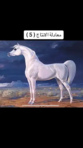 #مربط_فناس #خيل_عربي_اصيل♥️🐎 #الطائف #ترند #خيل_وخياله🐎 #جمال 