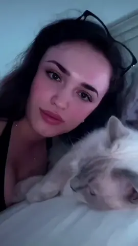 kitty🐱 #kitty #kittycat #yasmin_zbari_officiel #fyp #fyppppppppppppppppppppppp #viral_video #tik_tok #animalover 
