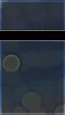 ভালোবাসা #দি_আরব_প্রবাসী #foryou #foryoupage #দি_আরব_প্রবাসী✈️✈️✈️😭😭🇧🇩🇸🇦✈️ #অনেক_স্বপ্ন_ছিল_তাকে_নিয়ে #Xcariful #কষ্টের_প্রবাসী_আরিফুল_🥀🥀 #বাংলাদেশ🇧🇩 