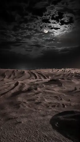- لا سليت ولا سلا -