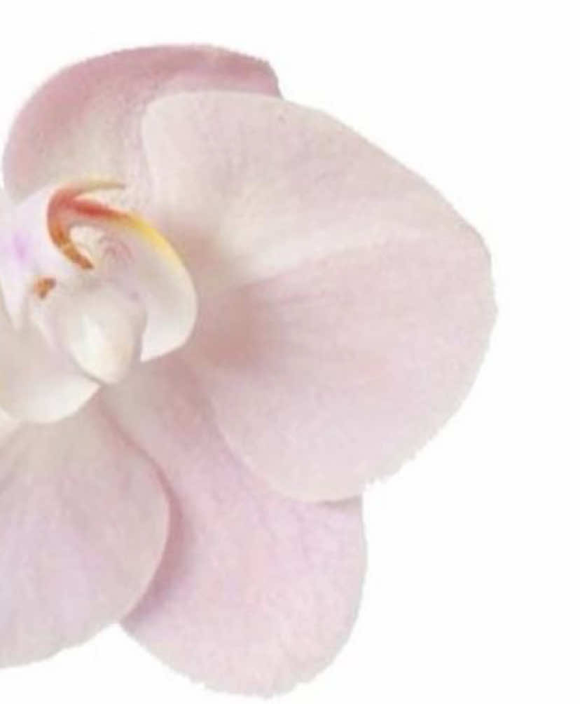 back 2 #dancetok #aespa #whiplash -1 power👼🏻💋