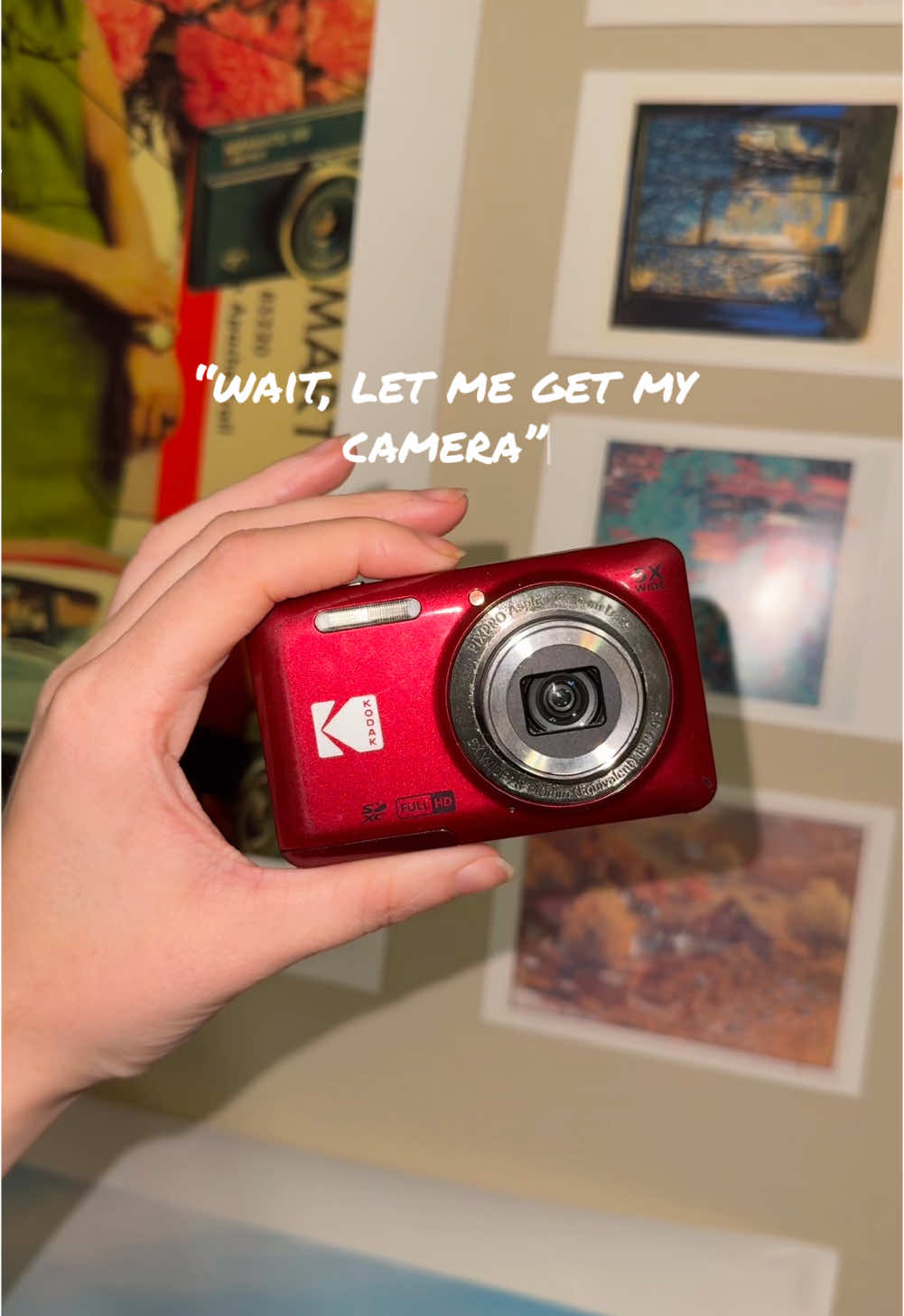hard to pick favorites from the year, the @Kodak Photo Printer Kodak PixPro FZ55 has been on a wild ride w me ❣️ @nat ₊✩‧₊˚౨ৎ˚₊✩‧₊  #fyp #digitalcamera #digicam #digital #photography #photodump #photo #kodak #kodakpixprofz55 #kodakpixpro #trend 