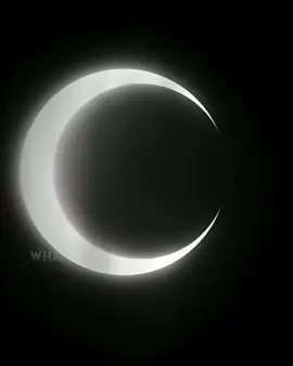 A DEAD MAN ☠️#bleach #kiraizuru #kira #elbruso #animetiktok #animeedit #fyp 