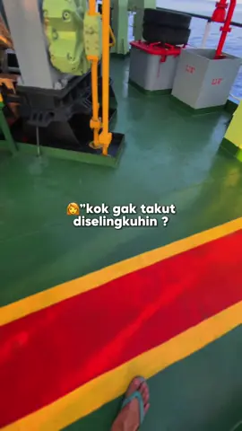 🤏 #CapCut #pelautpunyacerita #pelauthits 