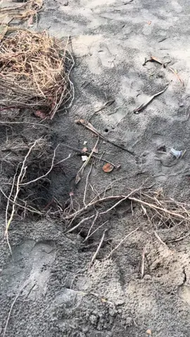 Wayahe hiling#fyppppppppppppppppppppppp #pantai mandiri#lambar#kruipesisirbaratlampung 