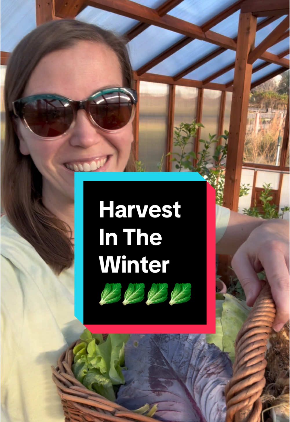 This #harvest includes spinach, green onions, cabbage, a radish, horseradish, and some herbs from my #backyardgarden and my greenhouse! I’m so lucky to be able to do a #gardenharvest and be able to #growyourownfood in the winter time! #harvesttime 