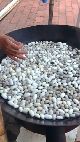 The Fascinating Process of Making Silk: From Cocoon to Fabric Silk is one of the most luxurious fabrics in the world, known for its smooth texture and natural sheen. But how is silk made? Let’s take a look at the intricate process of producing this prized fabric, starting from its raw material: the silkworm. 1. Harvesting Silkworms The production of silk begins with the cultivation of silkworms, typically the species Bombyx mori. Silkworms feed exclusively on mulberry leaves, and after several weeks of feeding, they enter the pupal stage of their life cycle. At this point, they begin spinning their cocoons, a process that takes around 2-3 days. 2. Spinning the Cocoon Silkworms produce silk fibers through special glands, secreting a liquid form of protein that hardens when exposed to air. The silkworm spins the fibers around itself in a continuous thread, creating a cocoon. Each cocoon contains a single thread that can be as long as 1,000 meters, and several thousand silkworms are required to produce enough silk for just one kilogram of fabric. 3. Reeling the Silk Once the silkworms have completed spinning their cocoons, the next step is reeling. The cocoon is carefully boiled or steamed to soften the sericin (the protein that holds the fibers together), allowing the long silk threads to be unwound. These threads are then reeled onto spools to create raw silk. 4. Spinning and Dyeing The raw silk threads are then spun into finer strands and may be dyed using various methods. The final product is a soft, lustrous fabric known for its lightness, strength, and luxurious feel. 5. Weaving the Silk Once spun and dyed, the silk threads are woven into fabric using traditional looms. The finished fabric can be used for clothing, home décor, or luxury goods. Silk's creation is a delicate and labor-intensive process, which is why it remains a symbol of luxury and craftsmanship around the world. #silk #decor #3hlink