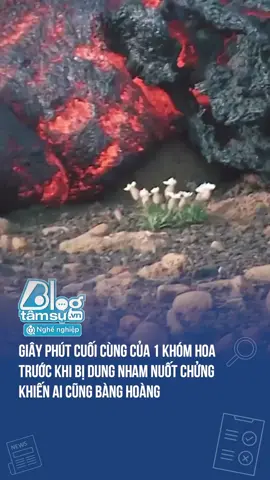 Mọi người nhìn trong tiếc nuối #TQDSHN #blogtamsu #BTSMedia #funfact #chuyenlacothat #dungnham