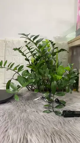 máy rung kẹp cái ấy #xh #yêu #dochoi #docthan #nguoilon #xh #2024 #mayrung #trending