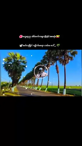 မြန်မာသံစဥ်)အငြိမ့်‌လေး(ညနေစောင်ရင် ဒီနေရာလေးအရမ်လှတယ်🌴#fypシ゚viral #Dj #remix #🍃tiktok ##Bass 💯💥💢🏁