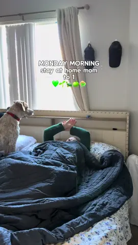 Mama of 1💚🌱🐢🍏👒 #mondaymorning #morningroutine #morningvlog #morninginmylife #ditl #motherhood #stayathomemom #sahm #MomsofTikTok #trending #tiktokviral #morningcoffee #icedcoffee #foryoupage #fyp @Nespresso @Milk-Bone @Fabletics  @Torani @Amazon Influencer Program @HydroJugOfficial 