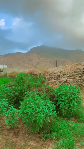 #صباحات_الشتاء 