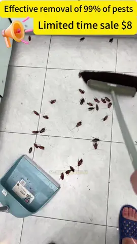 #CapCut Thoroughly rid the house of cockroaches #cockroach#cockroachbait #removecockroaches #cockroachbuster #tiktokshop #tiktokshopblackfriday