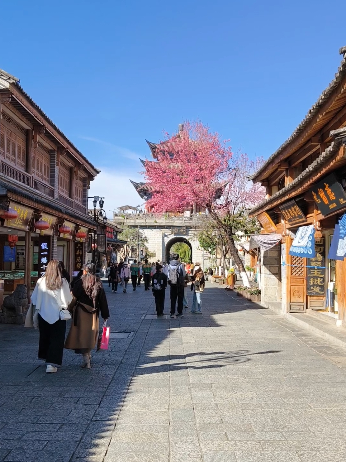 Dali Old Tow in Yunnan, China  大理古城，云南, 中国 #ilovechina #chine #yunnan #montagne #chinaa #travel #voyage #我爱你中国 #大理 #dali  #云南 #中国 #montain #temple #sakura