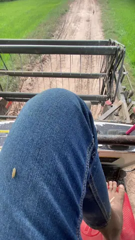 #ទេសភាពស្រុកស្រែ🌄🏜️🌱🌼🌾🐟 #តាកុងម៉ាសុីនច្រូតវ័យក្មេង🌾❤️ 