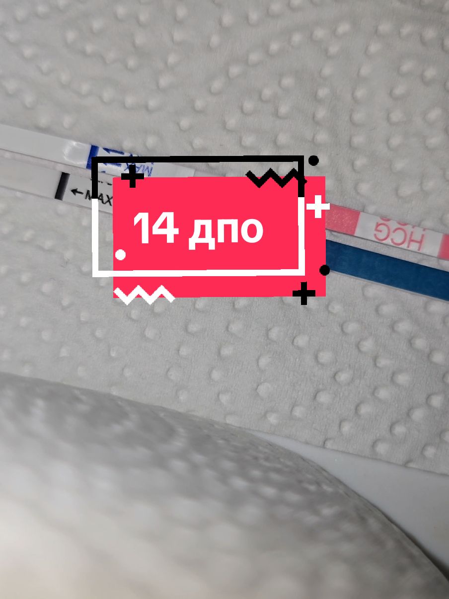 какие первые признаки беременности у вас были? #планированиебеременности #дпо #беременностьвнеделях #тестнабеременость #двеполоски 