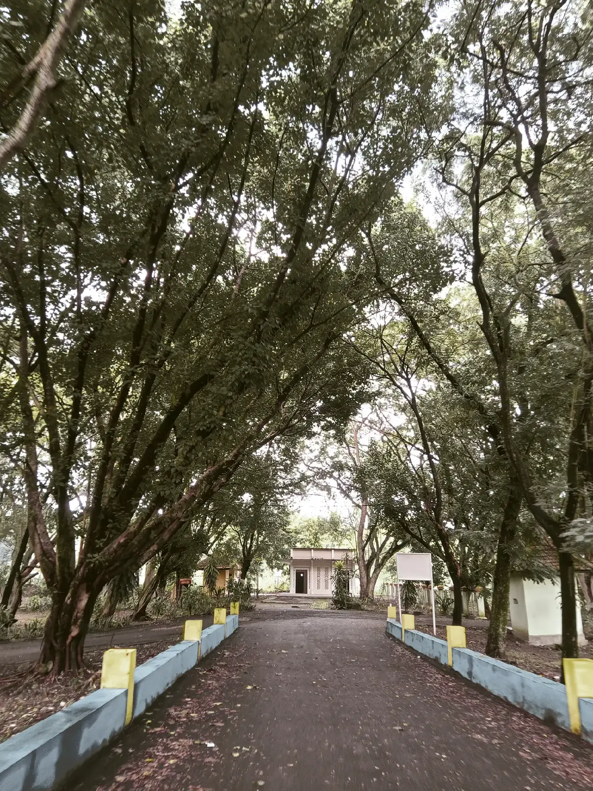 #foryou #xybca #fypage #xybca #sugio #lamongan #jatim #joging #berandafypシ 