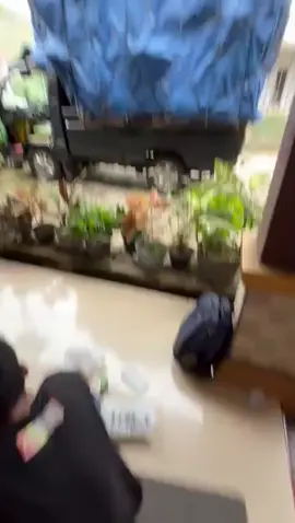 Jane taun baru arek Nandi Iki boss#fyppppppppppppppppppppppp #picuplampung #l300lampung #picupindonesia #fypシ゚ 