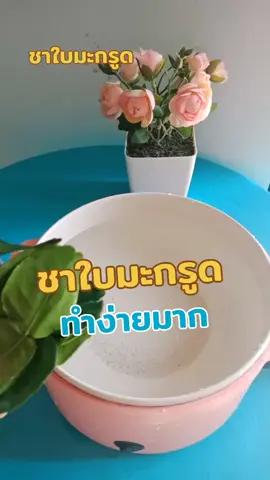จิบชาใบมะกรูดตอนบ่ายกันค่ะ#เข้าครัวtiktok #เมนูง่ายๆ #ชาใบมะกรูด #ชา #รักสุขภาพ #เบ๊บบี้เฮลตี้ชิลชิล #tiktokuni #tiktokครีเอเตอร์ #สมุนไพรไทย 