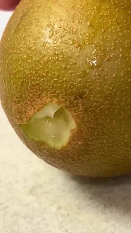 #asmr #asmrtiktok #asmrtiktoks #emoji #foryoupage #foryou #oddlysatisfying #verysatisfying #4up #4fun #funtime #tiktokviral #decompress #unzip #soothing #interesting #comfortable #sleeping #reply #videoviral #replyvideo #nature #chill#whitenoise #sound #noise #relax #sleep #meditate