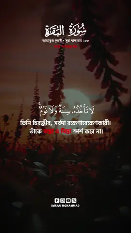 সুমধুর কন্ঠে আয়াতুল কুরসী (سورة البقرة) সূরা আল-বাকারাহ আয়াত নং ২৫৫ || তিলাওয়াত: শামসুল হক