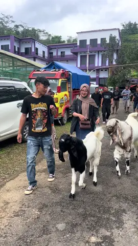 🩷@🅰️  #fypシ #fyp #peternakmuda #bredingkontest #peternakmudaindonesia #kambing #kambingetawakaligesing #kambingetawaindonesia #etawaluarbiasa #kambingetawakepalamerah #kambingkepalahitam 