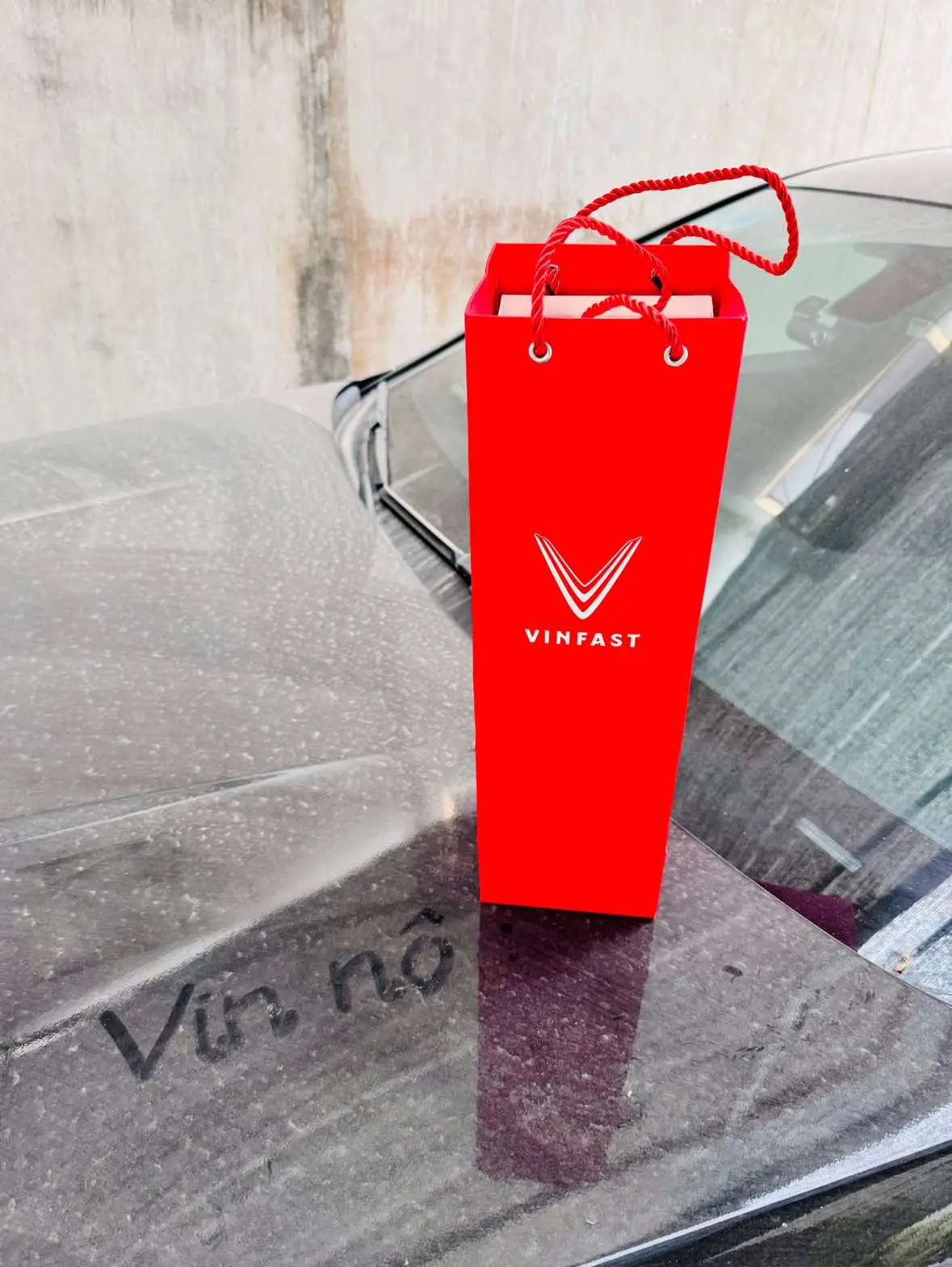 Bác Vượng chưa bao giờ làm Vinno thất vọng 🥲 #vinfast 