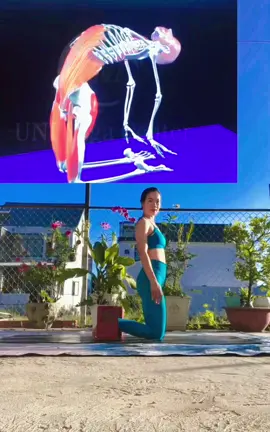 Yoga thế con lạc đà an toàn mà hiệu quả , bạn nào cũng dễ dàng tập được với gạch hỗ trợ #yogaphuchoi #yogadamme #yogaonline #yogatainha #yogatrilieu #xuhuong #fpt #tiktokshop #