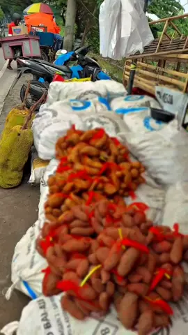 bismillah Mander e parengenah kelancaran rezkkeh cc halal🤲#fyp #fyp#sikecilsakti #viral #viral 