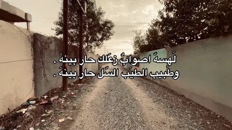 لَهسهّ اصوابٌ زعَلك حار بينهَ . وطَبيب الطيَب السّل حار بينهَ .#عزام_الشمري #عباراتكم💔💔؟ #سميرصبيح #شعراء_وذواقين_الشعر_الشعبي #النورات_ناحيه_القياره_جنوب_الموصل #امير_گيارة #امير_گياره🖤✨ #موصل_حي_الفلاح2 