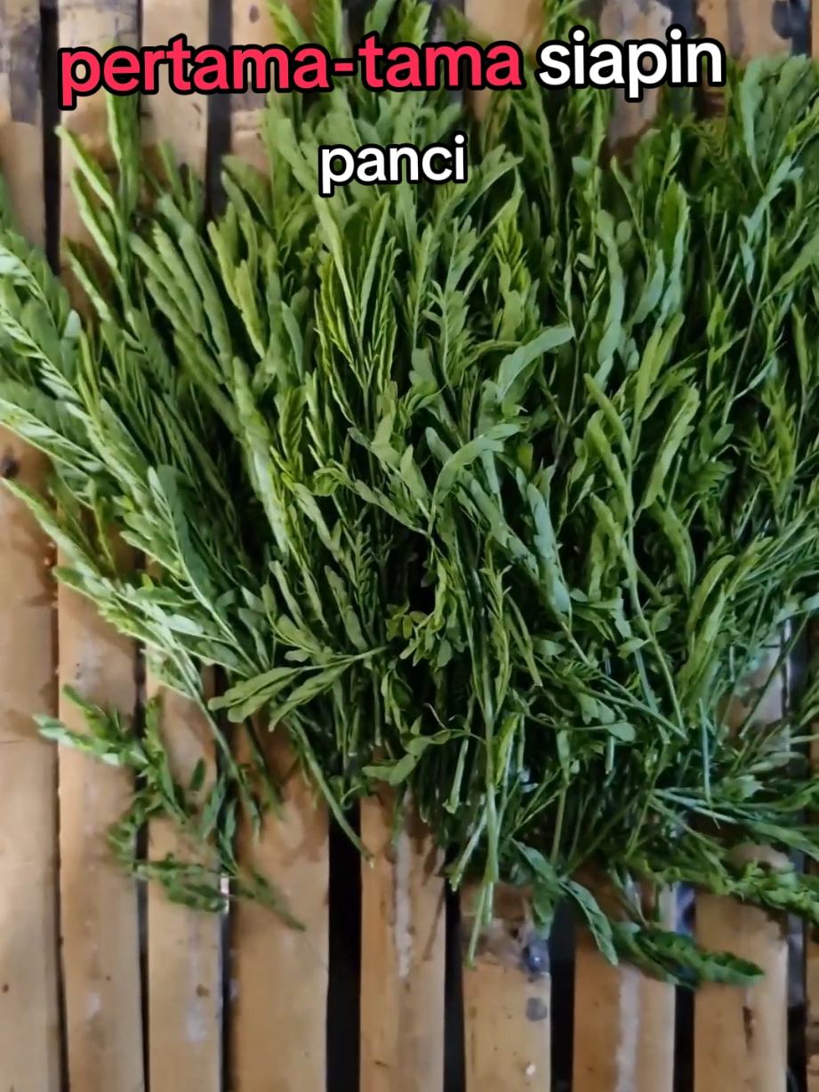 Pantas pahit kalau masaknya seperti ini!!!_Part 5 #petai #petaicina #masakansimple #fyp #makanan #enak #traditional #bermain 