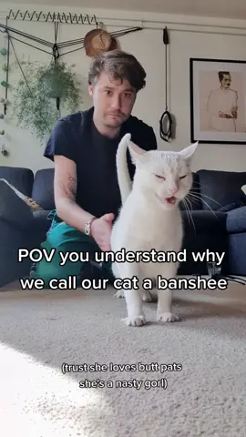 Reaction to scratching the cat’s butt😂#usa🇺🇸 #cat #cats #tiktok #funny #funnyvideos #fyp 