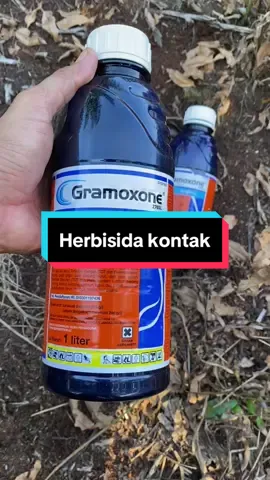 Cara basmi pakis#gramoxsone #pembasmirumput #tiktokaffiliate #trending 