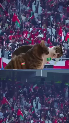 ننتظر بس ردة فعل  #عمان #السعوديه_عمان #تكلمو #مباراه #اكسبلورexplore #اكسبلووووورررر #السعوديه_تيك_توك 