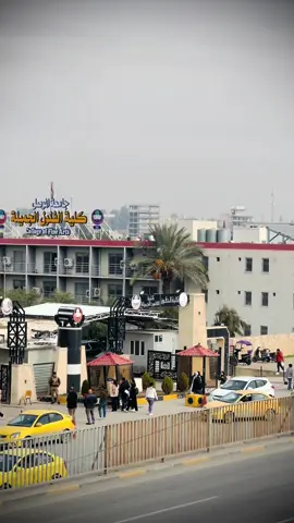 قرب الفاينل يخلص راح نشتاق لهالأيام🥺💜 #المجمع_الثاني_جامعة_الموصل  #جامعة_الموصل #الحقوق  #كلية_الحقوق  #اكسبلورر 