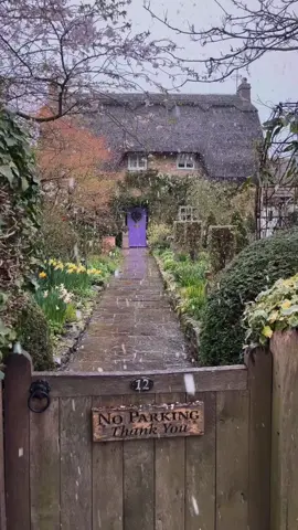 #fyp🌺🏡☘️ 