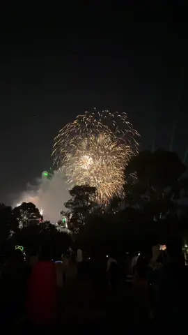 Happy new year 2025🎇#newyear #fireworks #fypシ #newyear2025 #park #shrineofrememberancemelbourne #godblessyouall 