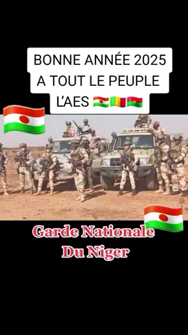 garde Nationale Du niger 🇳🇪 🇳🇪 🇳🇪 #FAN #GNN #viral_video #foryoupage❤️❤️ #nigeroi