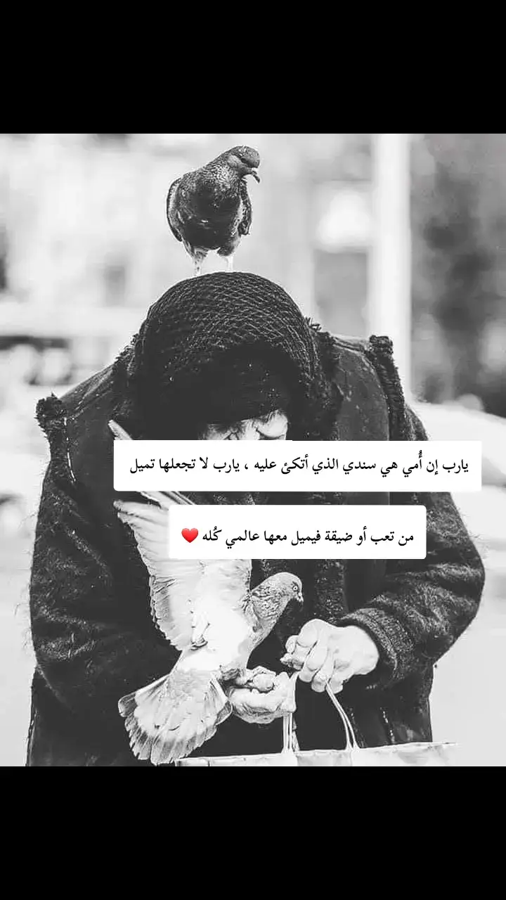 #أمي #2025newyear #أمارات_قطر_مصر_جزائر_لبنان_الكويت #حالات_واتس 
