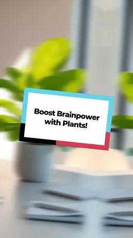 Boost your brainpower by simply adding a splash of green to your desk!... #ProductivityHacks #MentalWellness