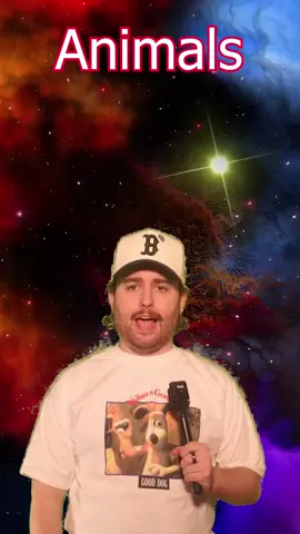 It’s all made up #AnimalFacts #comedy #memes #top5 #top10 #funfacts 