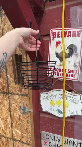#eggcollecting 