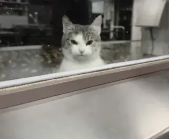 تەواوی*                                                #fyyyyyyyyyyyyyyyy #tiktok #tikvls #foryoupage #2025 #dancewithpubgm #view #cat @TikTok 