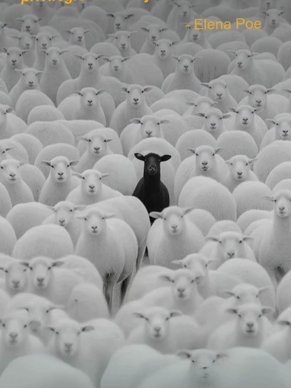 ⚔️Y si el mundo trata de cambiarme, yo cambiaré al mundo. #filosofia #desarrollopersonal #frases #filosofiadevida #reflexiondiaria #crecimientopersonal #pensamientosprofundos #frasesqueinspiran #citasdelibros #motivacion #estoicismo #mindset #mentalidad 