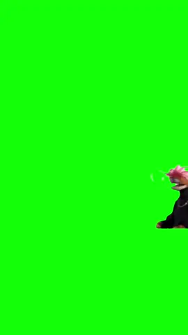 Laughing puppet meme green screen #discord #capcut #capcutholiday #viralgoals  #protemplate #keepup #greenscreen#fyp #christmas #holidays #santa #christmasspirit #memes 