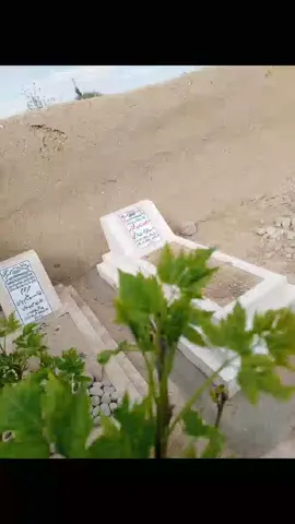 Sad AND Crying Movement#The Dark Day in My Life#on Grave