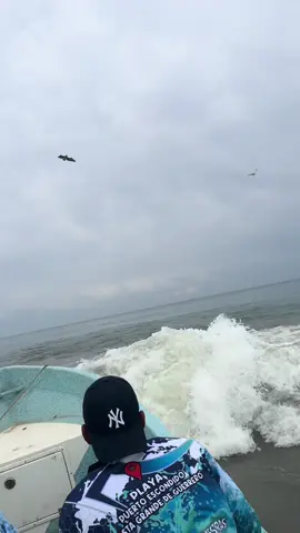 Fuimos de pesca al mar y miren todo lo que hisimos 